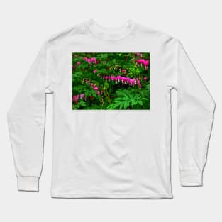 Bleeding Heart Beauty Long Sleeve T-Shirt